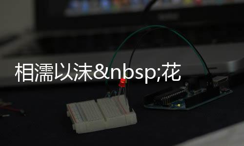 《嫁绝嗣长官，好孕作精在七零躺赢》全文在线阅读