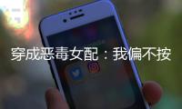 穿成恶毒女配：我