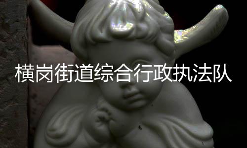 横岗街道综合行政执法队查处两宗绿地违停 罚款1000元!