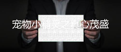 《惊！糙汉老公是年代文隐藏大佬》全文在线阅读