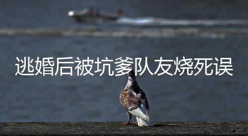 《暗黑系暖婚》全文在线阅读