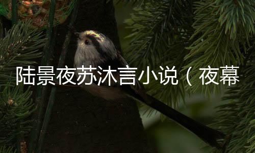 《暗黑系暖婚》全文在线阅读