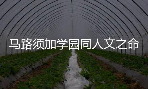 《港夏烈吻》全文在线阅读
