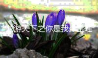 龙游天下之你是我
